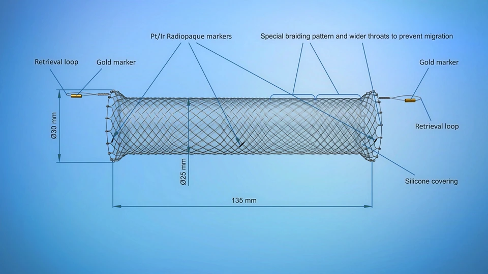 Stent